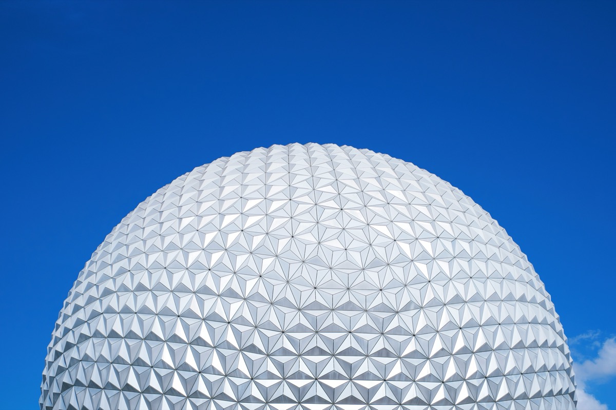 Tomorrow: Soarin' Across America, The Muppets coaster, and Bluey's Wild World all open to the public on the same day